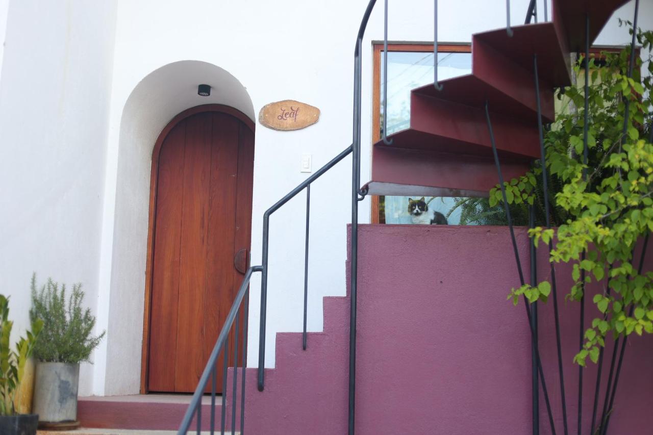 Cherry Suites Dalat Esterno foto